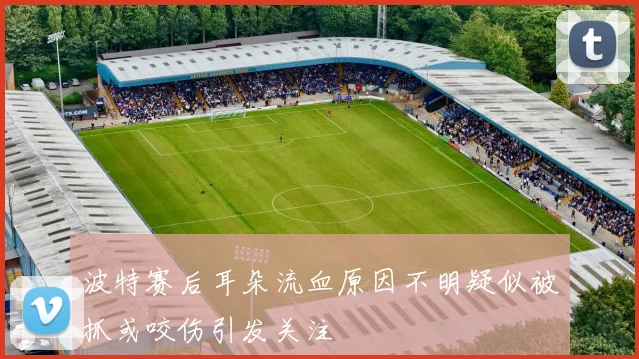 波特赛后耳朵流血原因不明疑似被抓或咬伤引发关注