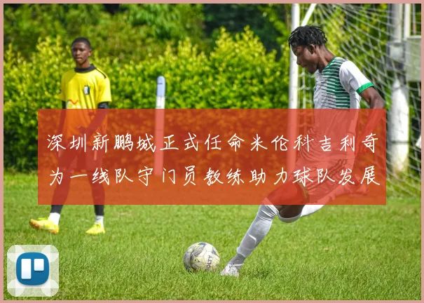 深圳新鹏城正式任命米伦科吉利奇为一线队守门员教练助力球队发展