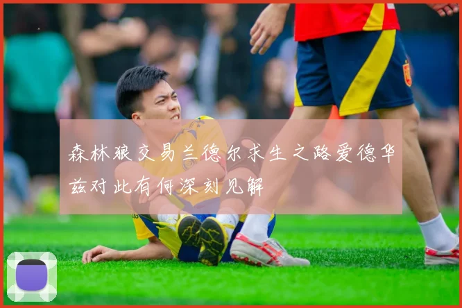 森林狼交易兰德尔求生之路爱德华兹对此有何深刻见解